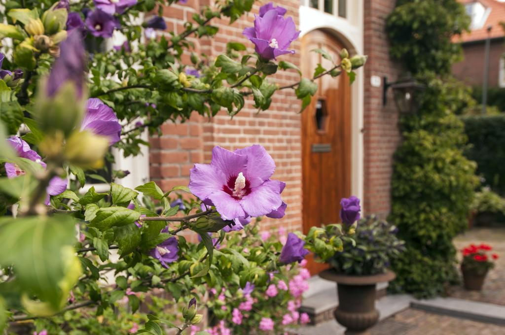 B&B De Schiedamse Suites Экстерьер фото